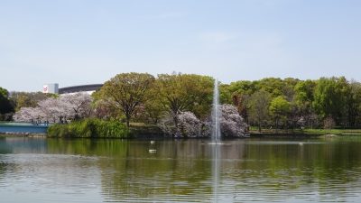 長居公園の写真